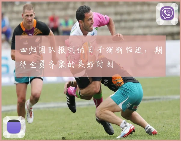 回归团队报到的日子渐渐临近，期待全员齐聚的美好时刻