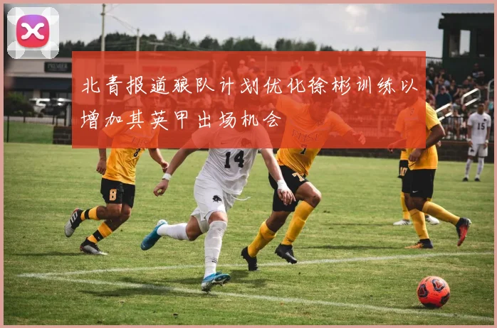 北青报道狼队计划优化徐彬训练以增加其英甲出场机会