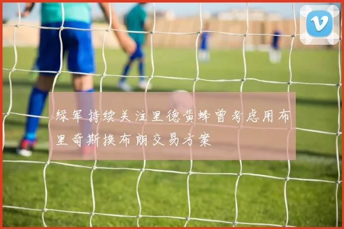 绿军持续关注里德黄蜂曾考虑用布里奇斯换布朗交易方案